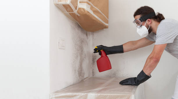 Professional Attic Mold Remediation technician working in Nashville, MI